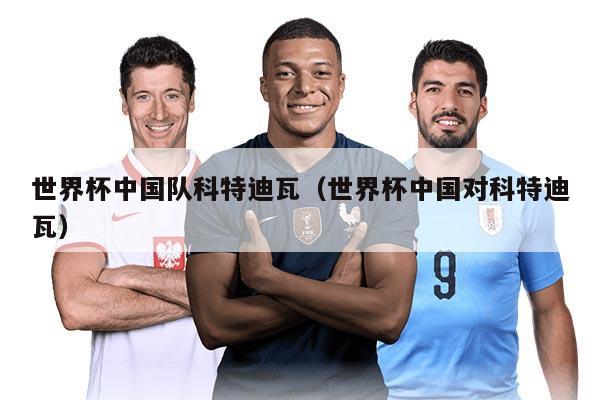 世界杯中国队科特迪瓦（世界杯中国对科特迪瓦）