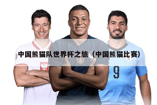 中国熊猫队世界杯之旅(中国熊猫比赛)