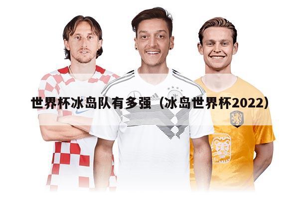 世界杯冰岛队有多强（冰岛世界杯2022）
