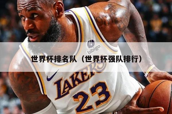 世界杯排名队（世界杯强队排行）