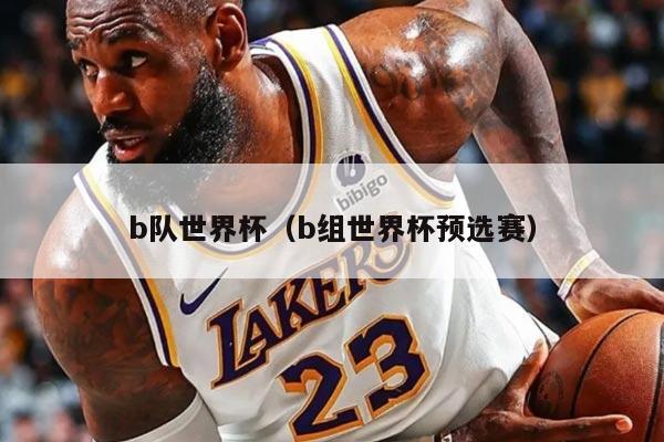 b队世界杯(b组世界杯预选赛)