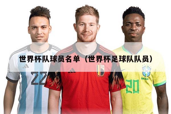 世界杯队球员名单(世界杯足球队队员)