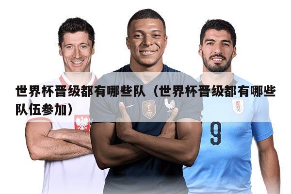 世界杯晋级都有哪些队（世界杯晋级都有哪些队伍参加）