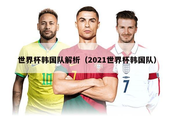 世界杯韩国队解析（2021世界杯韩国队）