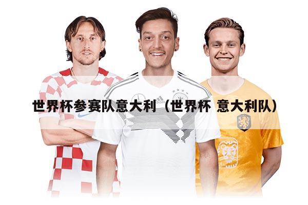 世界杯参赛队意大利（世界杯 意大利队）