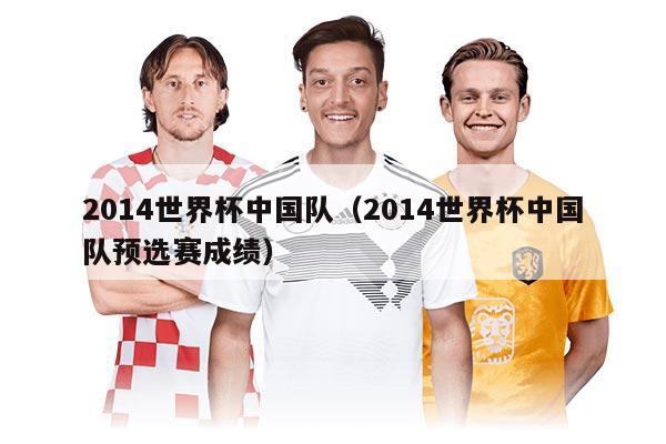 2014世界杯中国队（2014世界杯中国队预选赛成绩）