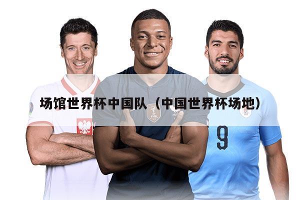 场馆世界杯中国队（中国世界杯场地）