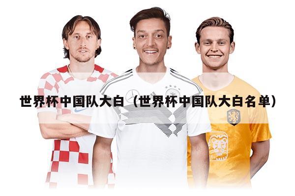 世界杯中国队大白（世界杯中国队大白名单）