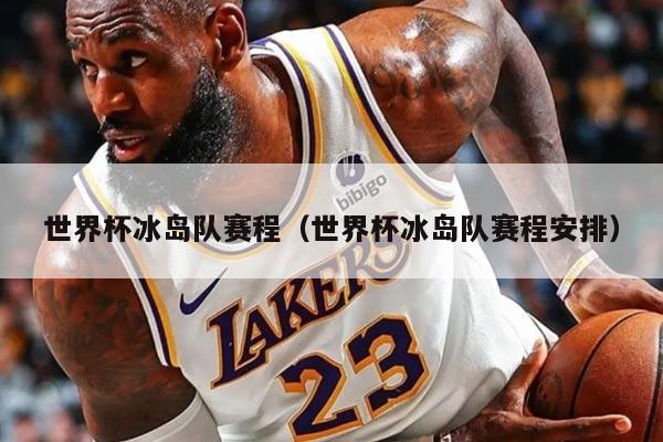 世界杯冰岛队赛程（世界杯冰岛队赛程安排）