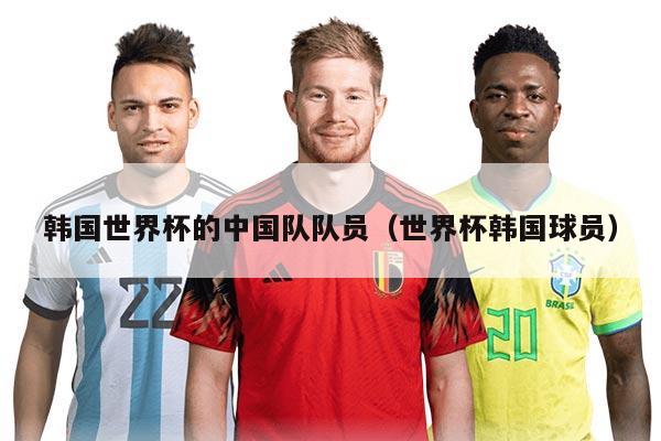 韩国世界杯的中国队队员（世界杯韩国球员）