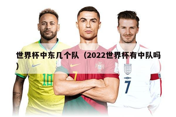 世界杯中东几个队（2022世界杯有中队吗）