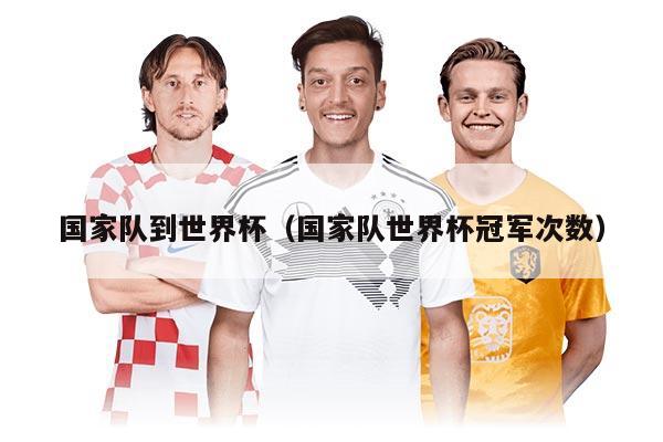 国家队到世界杯（国家队世界杯冠军次数）