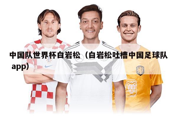 中国队世界杯白岩松（白岩松吐槽中国足球队 app）