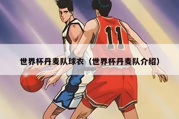 世界杯丹麦队球衣（世界杯丹麦队介绍）