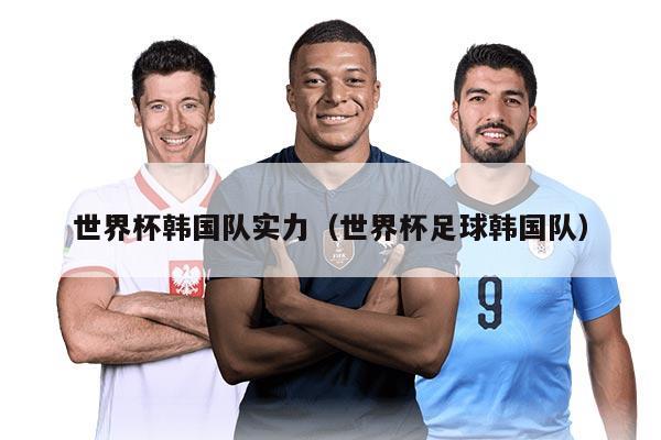 世界杯韩国队实力（世界杯足球韩国队）