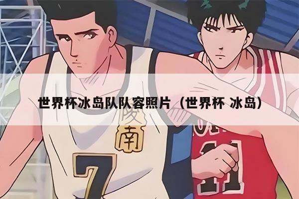 世界杯冰岛队队容照片（世界杯 冰岛）