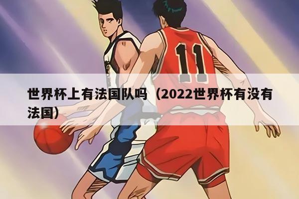 世界杯上有法国队吗（2022世界杯有没有法国）