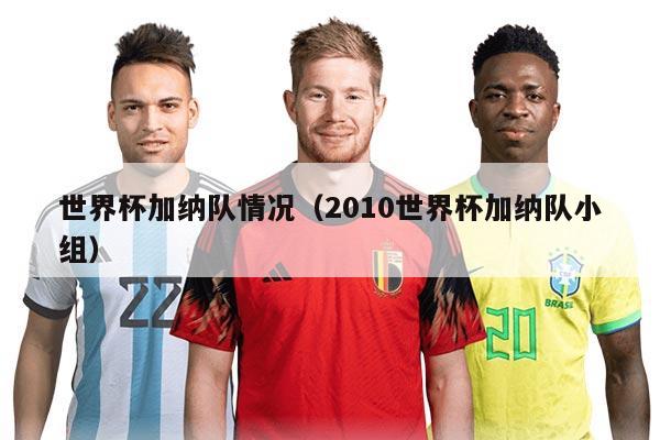 世界杯加纳队情况（2010世界杯加纳队小组）