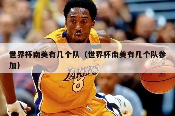 世界杯南美有几个队（世界杯南美有几个队参加）