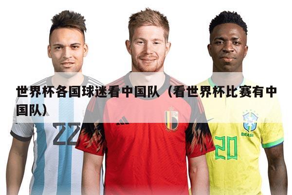 世界杯各国球迷看中国队（看世界杯比赛有中国队）