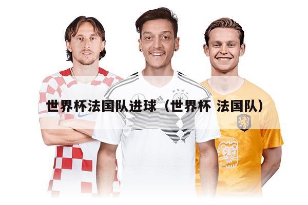世界杯法国队进球（世界杯 法国队）