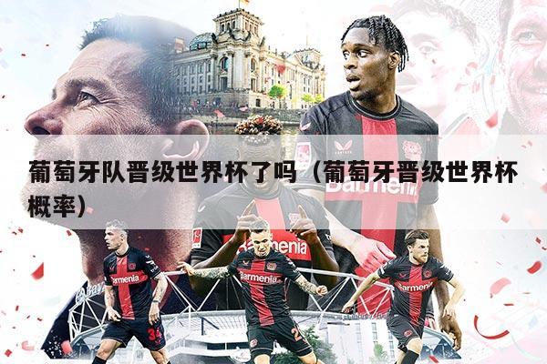 葡萄牙队晋级世界杯了吗（葡萄牙晋级世界杯概率）