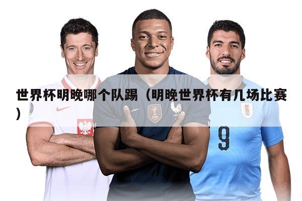 世界杯明晚哪个队踢（明晚世界杯有几场比赛）