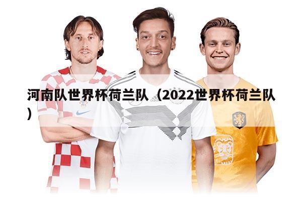 河南队世界杯荷兰队（2022世界杯荷兰队）