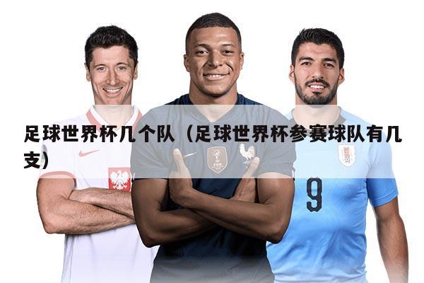 足球世界杯几个队（足球世界杯参赛球队有几支）