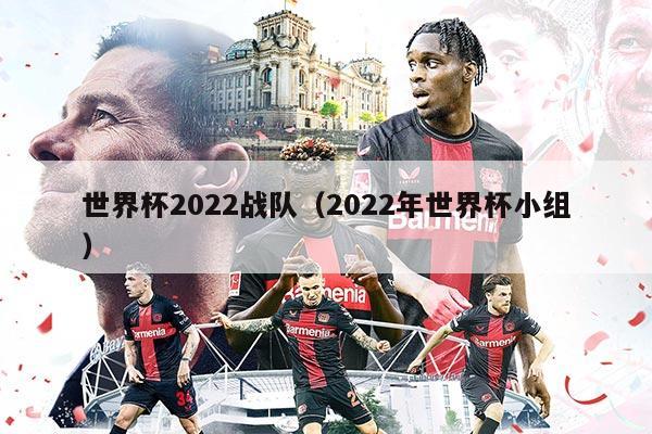 世界杯2022战队（2022年世界杯小组）