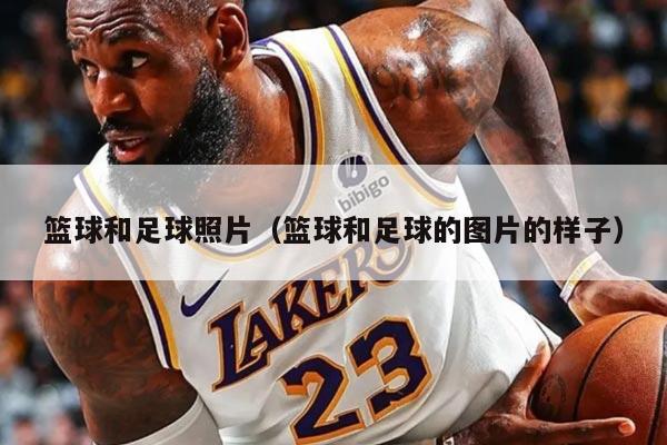 篮球和足球照片（篮球和足球的图片的样子）