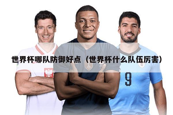 世界杯哪队防御好点（世界杯什么队伍厉害）