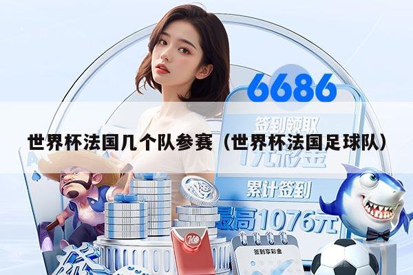 世界杯法国几个队参赛（世界杯法国足球队）