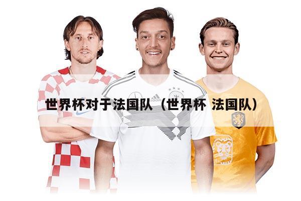世界杯对于法国队（世界杯 法国队）