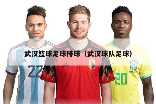 武汉篮球足球排球（武汉球队足球）