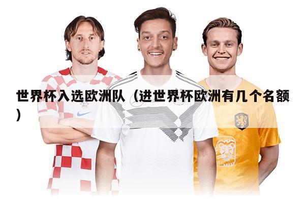 世界杯入选欧洲队（进世界杯欧洲有几个名额）