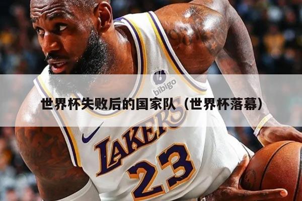 世界杯失败后的国家队（世界杯落幕）
