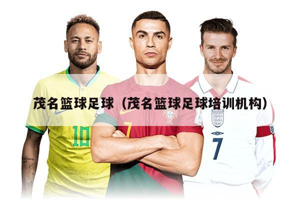 茂名篮球足球（茂名篮球足球培训机构）