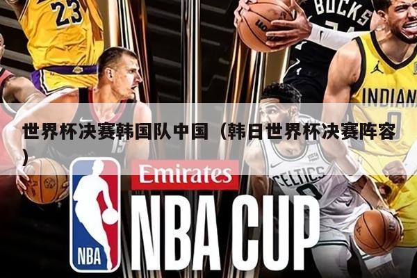 世界杯决赛韩国队中国（韩日世界杯决赛阵容）