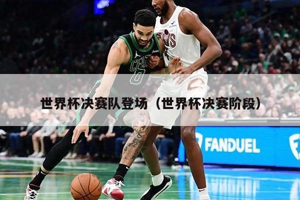 世界杯决赛队登场（世界杯决赛阶段）