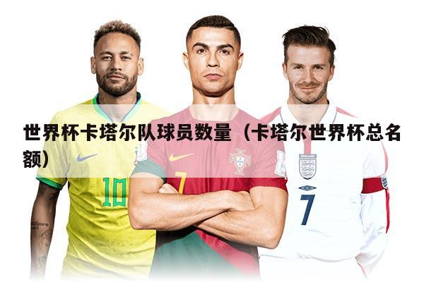 世界杯卡塔尔队球员数量（卡塔尔世界杯总名额）