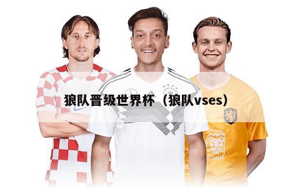 狼队晋级世界杯（狼队vses）