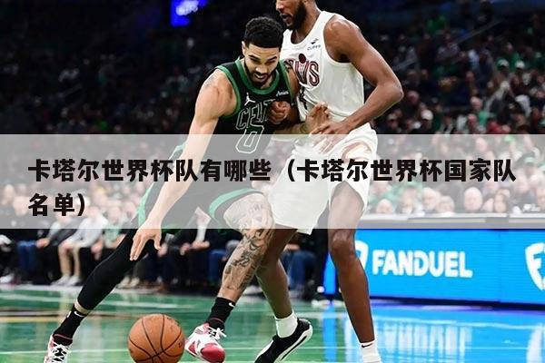 卡塔尔世界杯队有哪些（卡塔尔世界杯国家队名单）