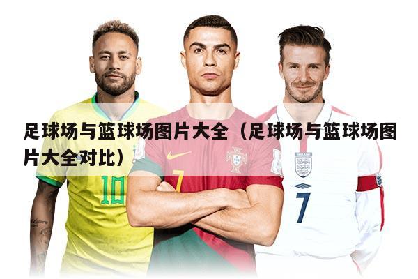 足球场与篮球场图片大全（足球场与篮球场图片大全对比）