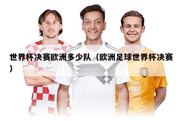 世界杯决赛欧洲多少队（欧洲足球世界杯决赛）