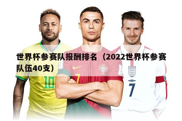 世界杯参赛队报酬排名（2022世界杯参赛队伍40支）