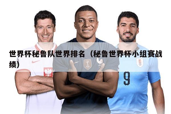 世界杯秘鲁队世界排名（秘鲁世界杯小组赛战绩）