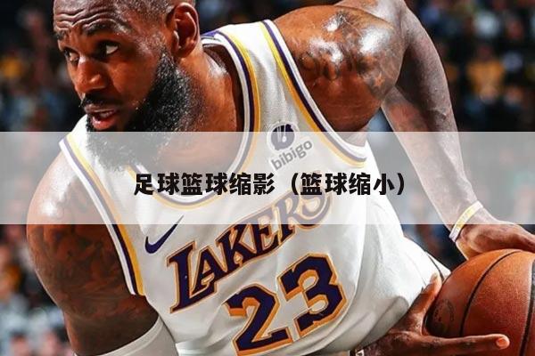 足球篮球缩影（篮球缩小）