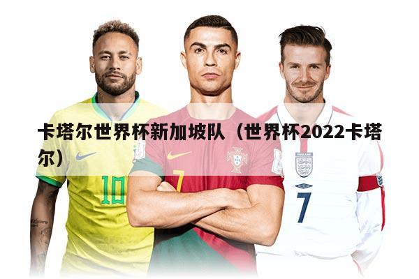 卡塔尔世界杯新加坡队（世界杯2022卡塔尔）