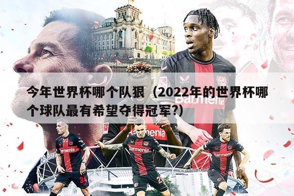 今年世界杯哪个队狠（2022年的世界杯哪个球队最有希望夺得冠军?）